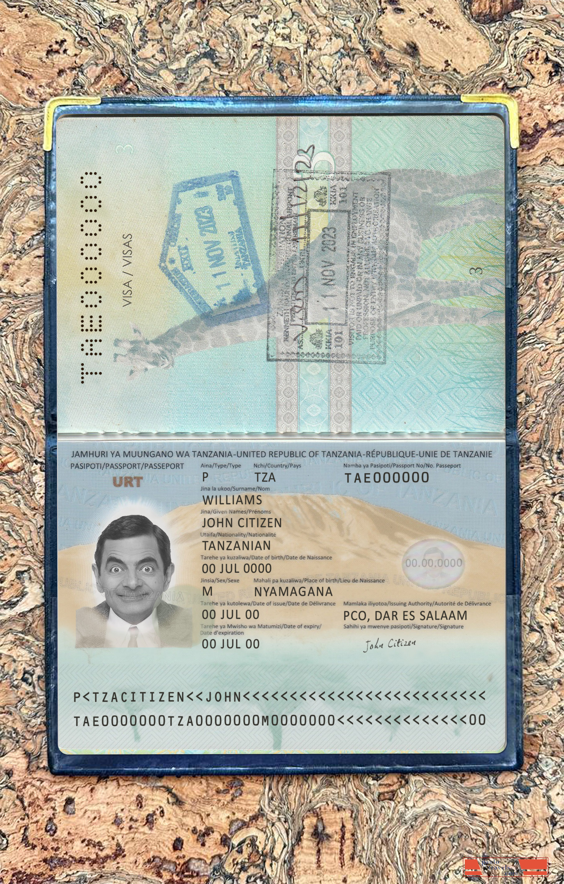 Tanzania passport new 2019 present photolook PSD template